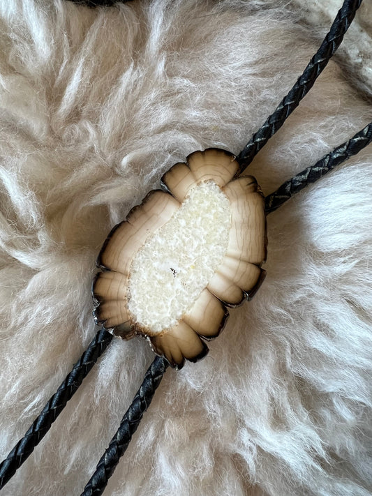 Petrified Wood Slice Bolo Tie