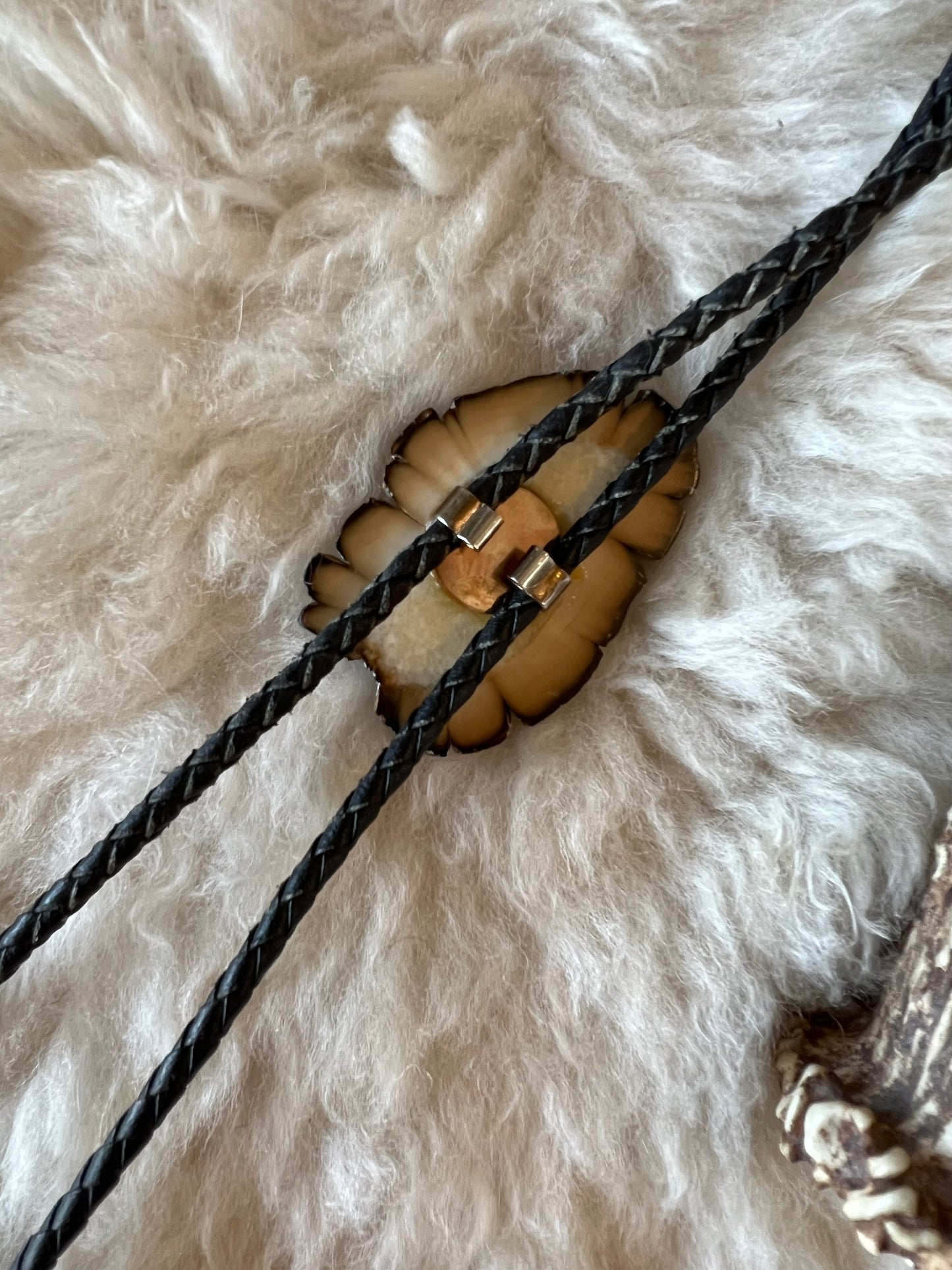 Petrified Wood Slice Bolo Tie
