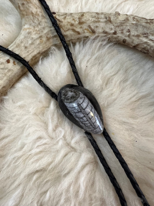 Genuine Orthoceras Fossil Bolo Tie