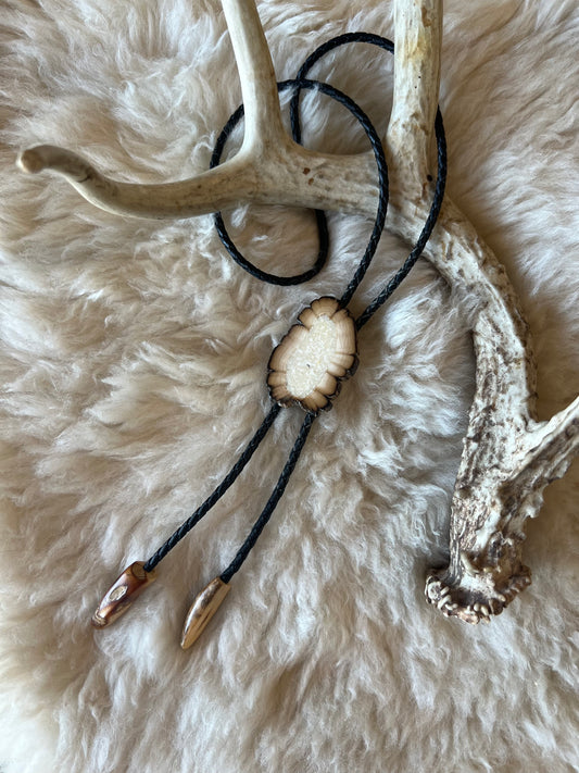 Petrified Wood Slice Bolo Tie