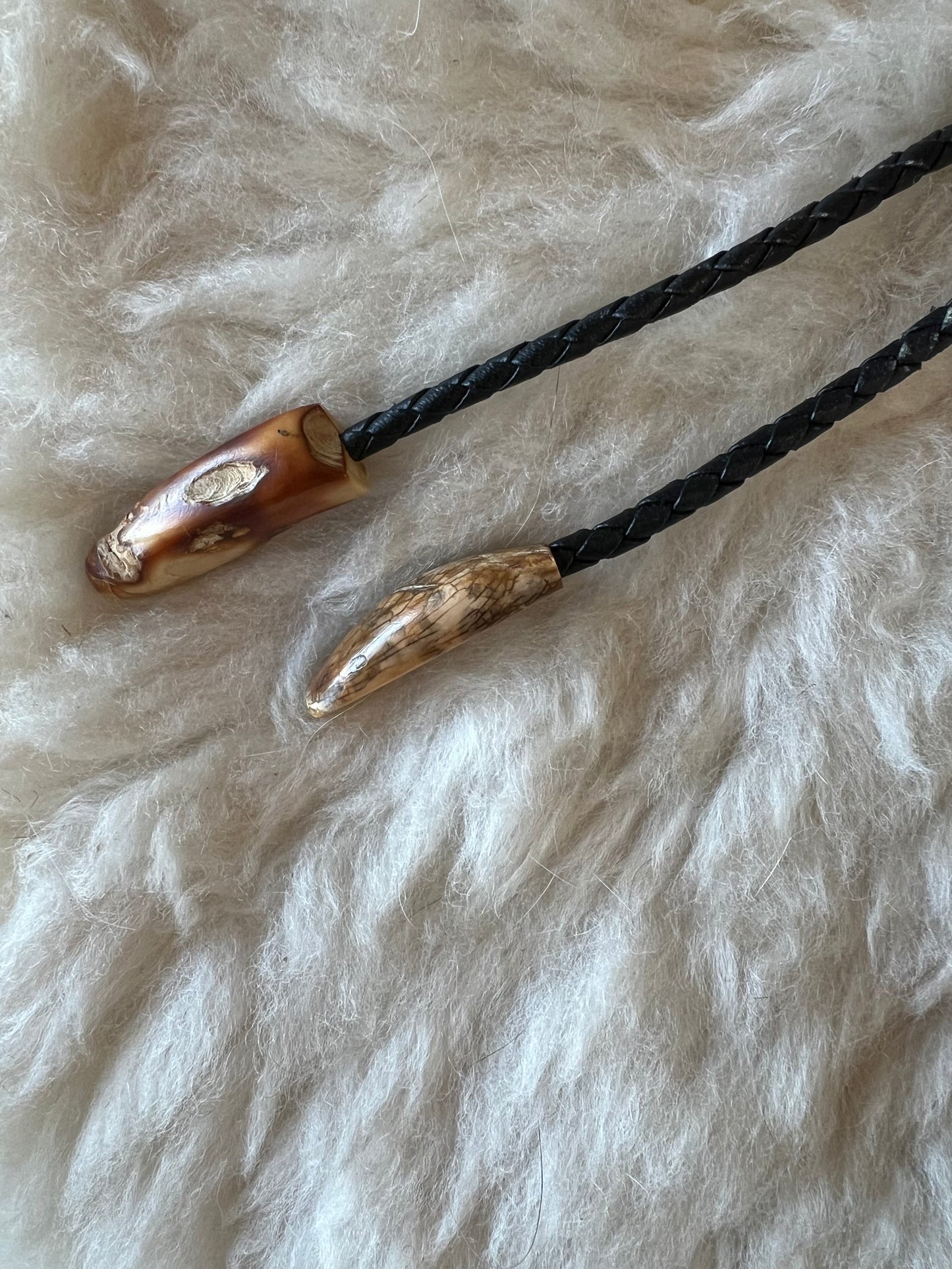 Petrified Wood Slice Bolo Tie