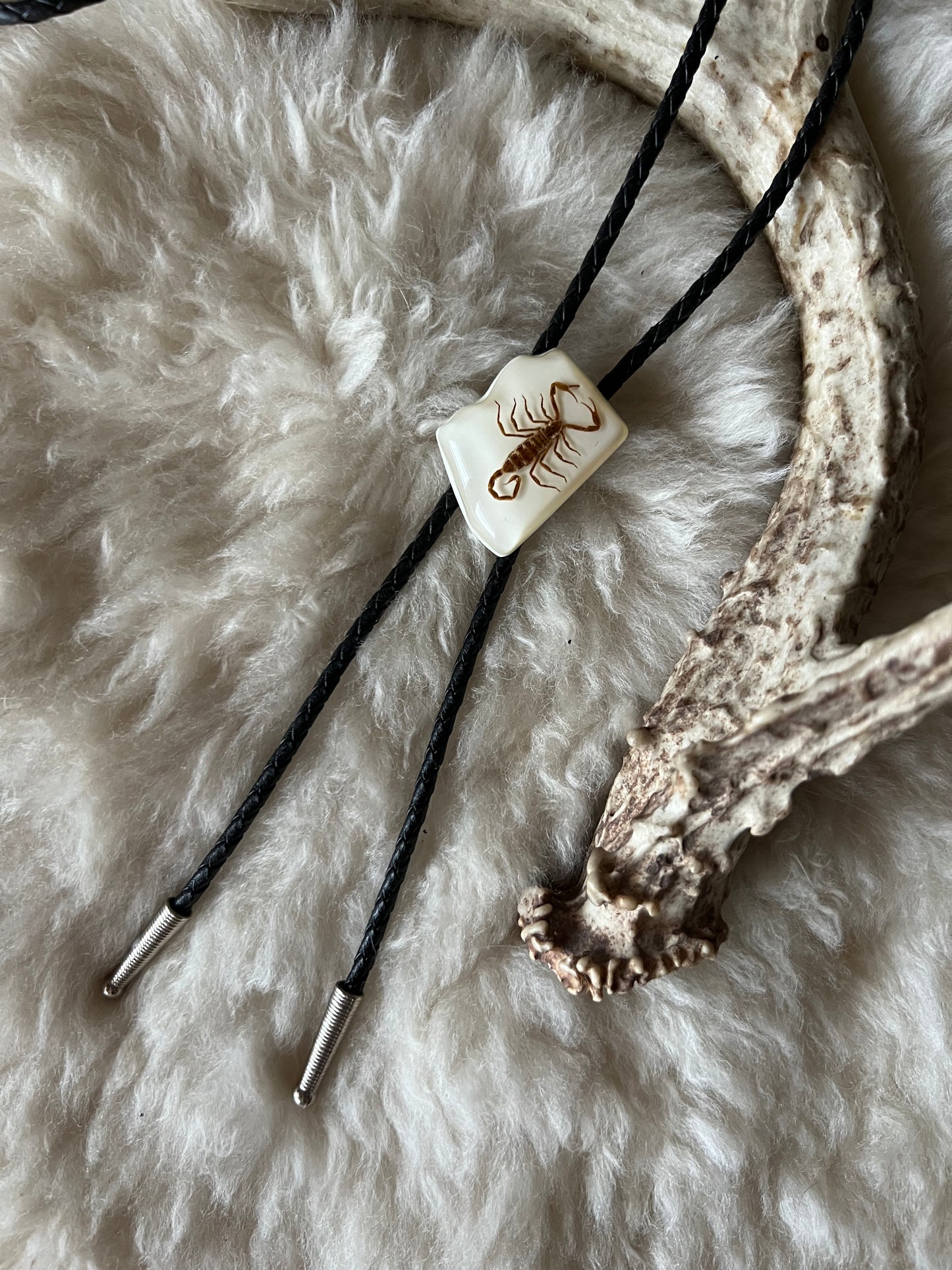 Encased Scorpion Bolo Tie