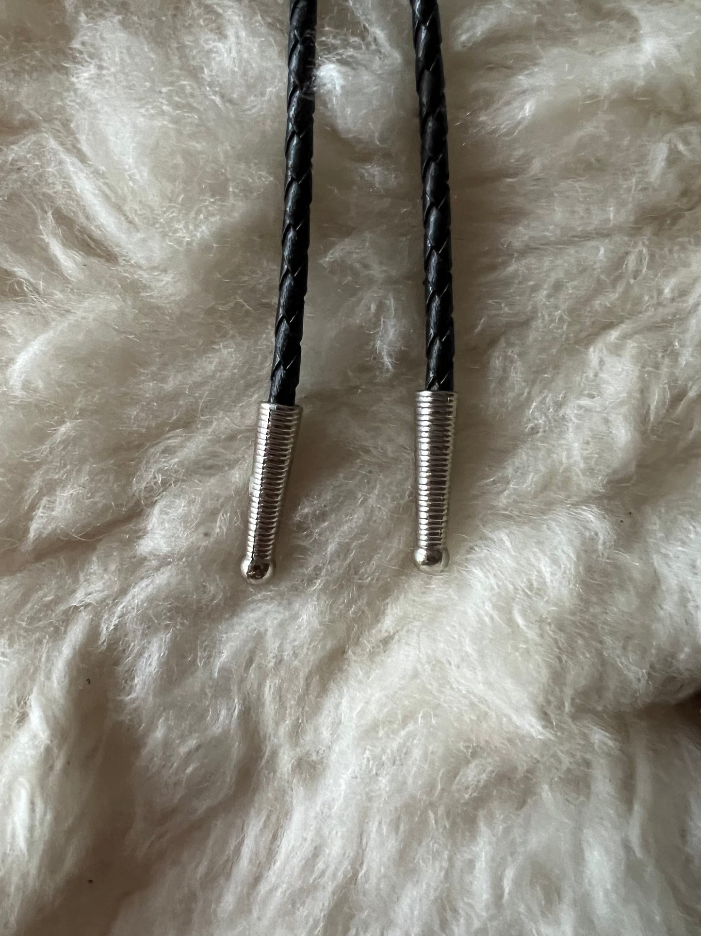 Encased Scorpion Bolo Tie
