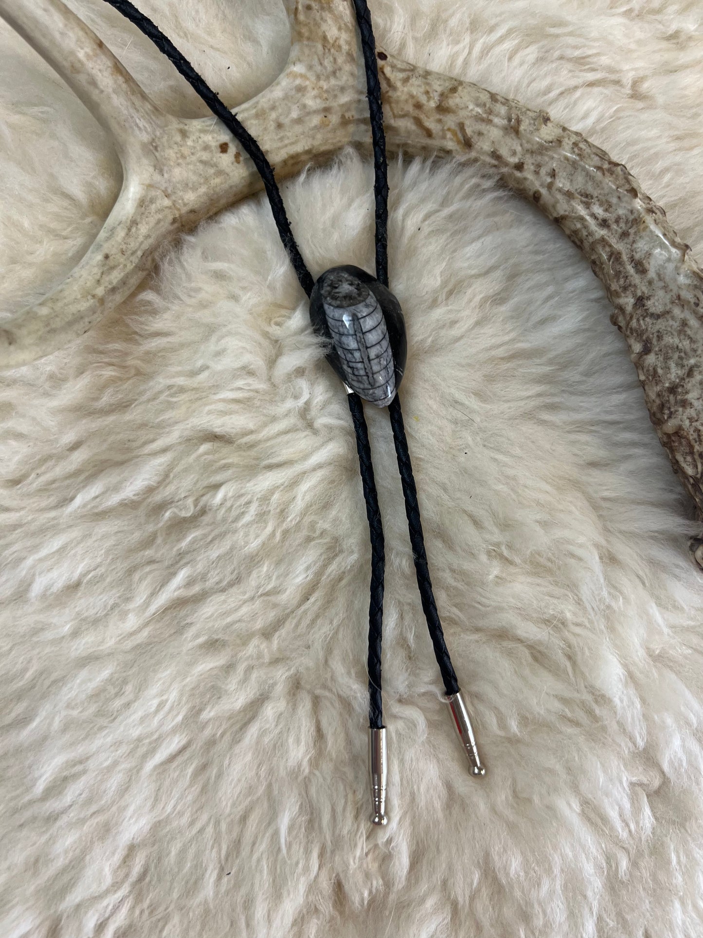 Genuine Orthoceras Fossil Bolo Tie