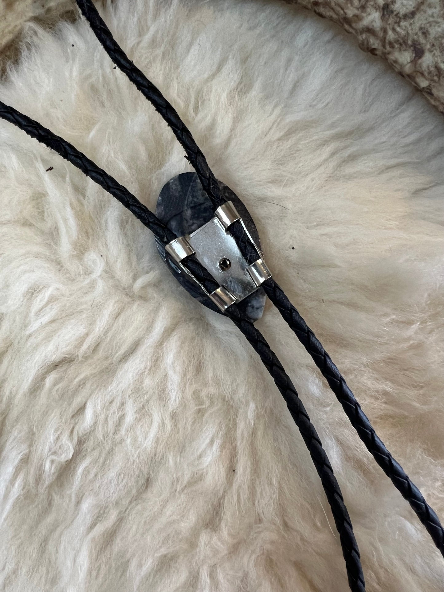 Genuine Orthoceras Fossil Bolo Tie